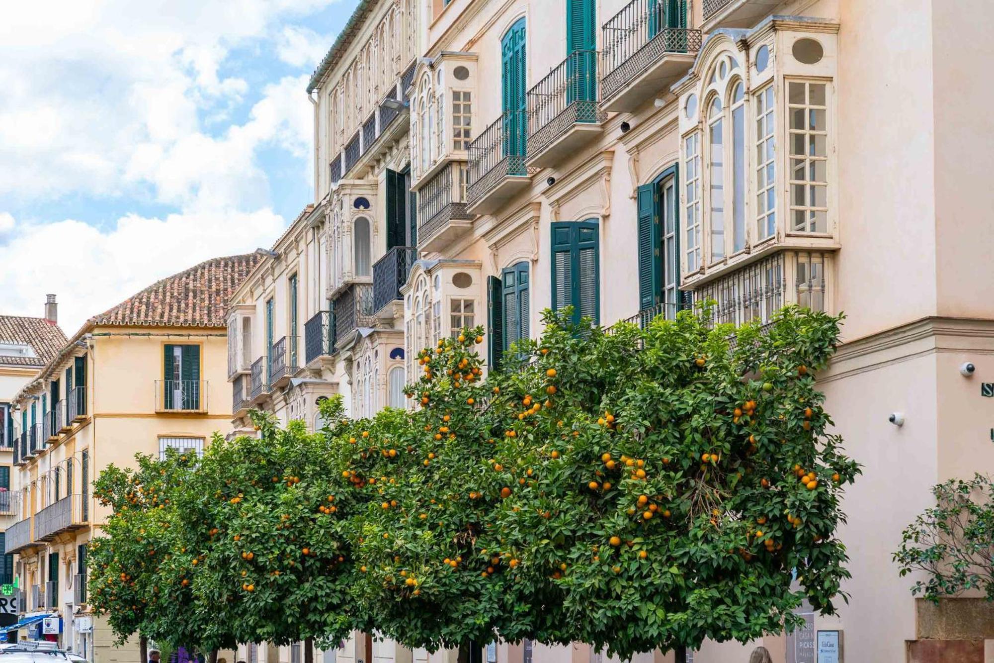 Limehome Malaga Calle Victoria Εξωτερικό φωτογραφία